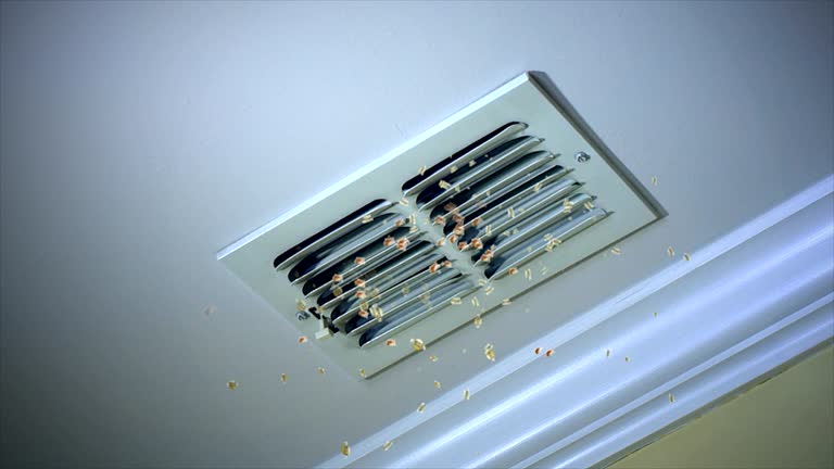 Best Best Air Duct Cleaning Near Me  in Speedway, IN